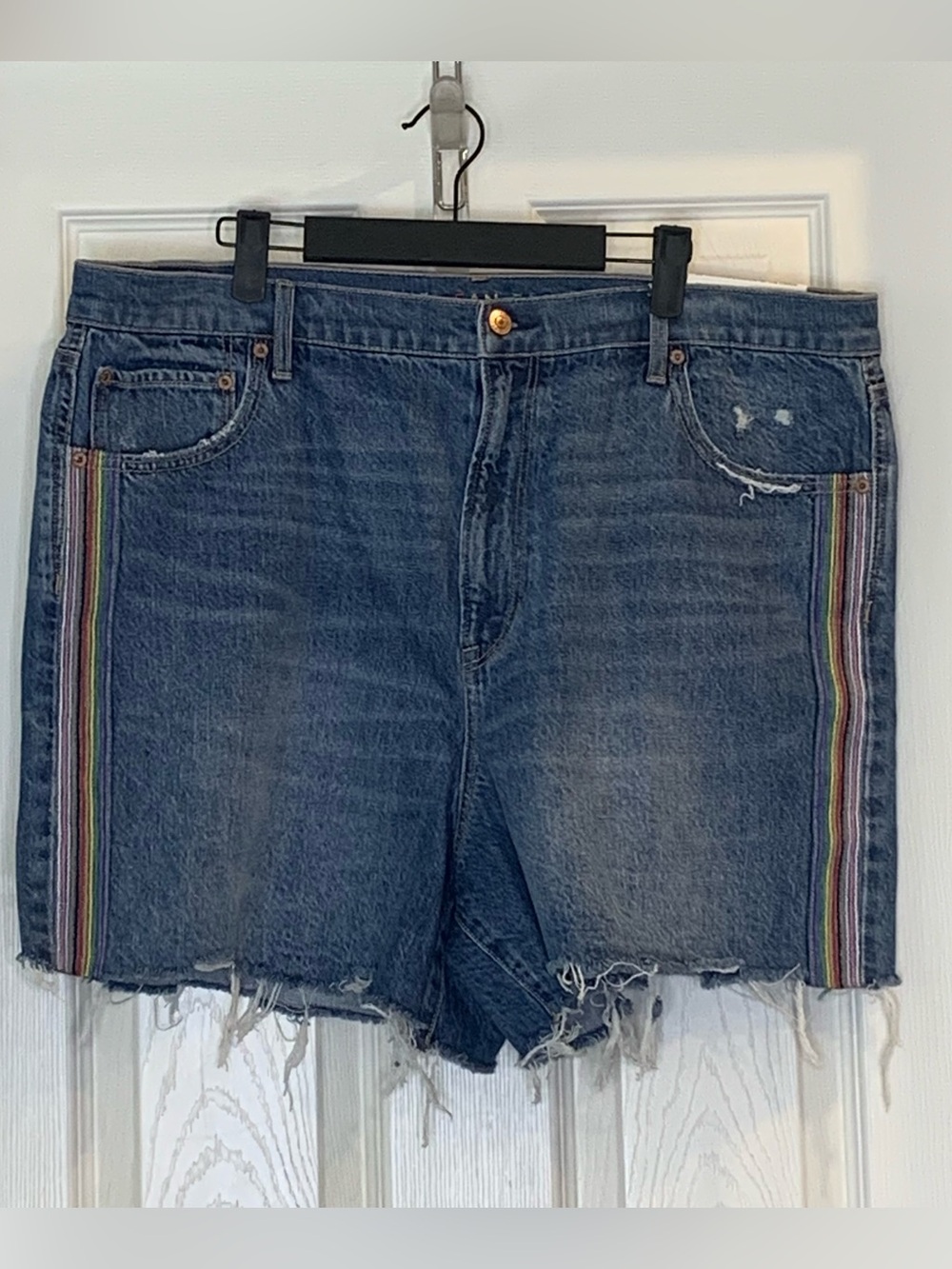 American Eagle Pride Highest Rise 90s Boyfriend Short Size 20
